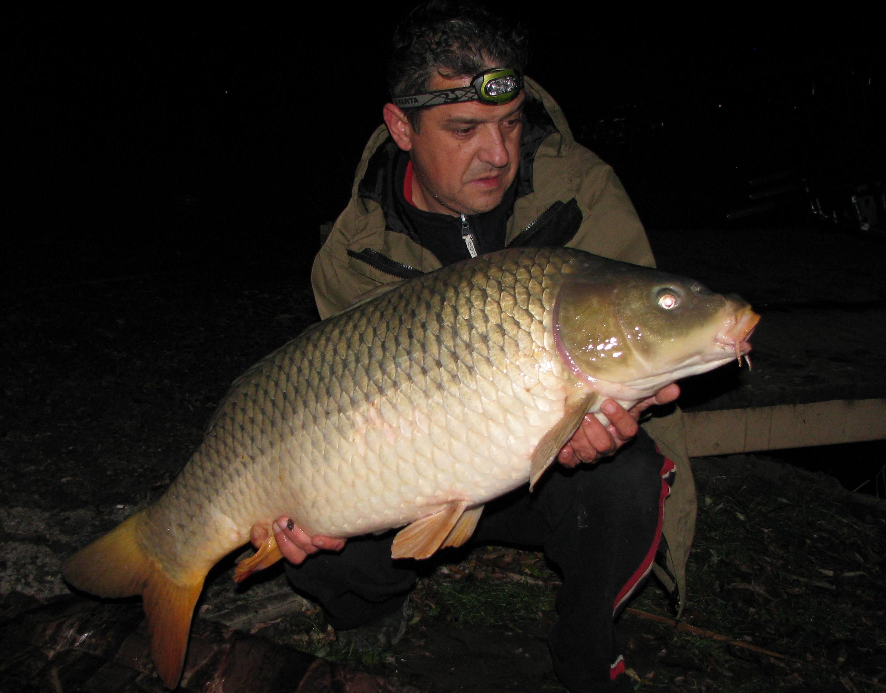 capturi - IMG_2772.JPG